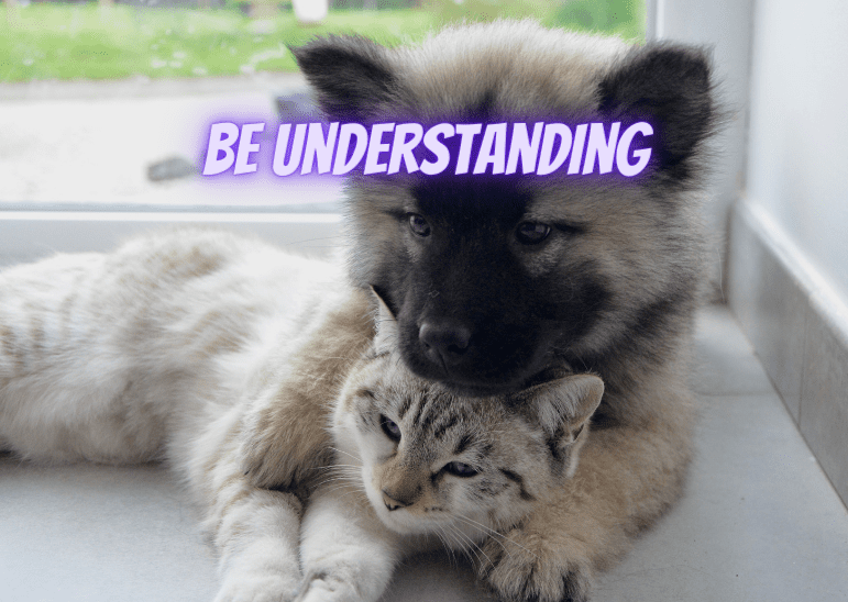 Be Understanding in an Uncertain Environment. 